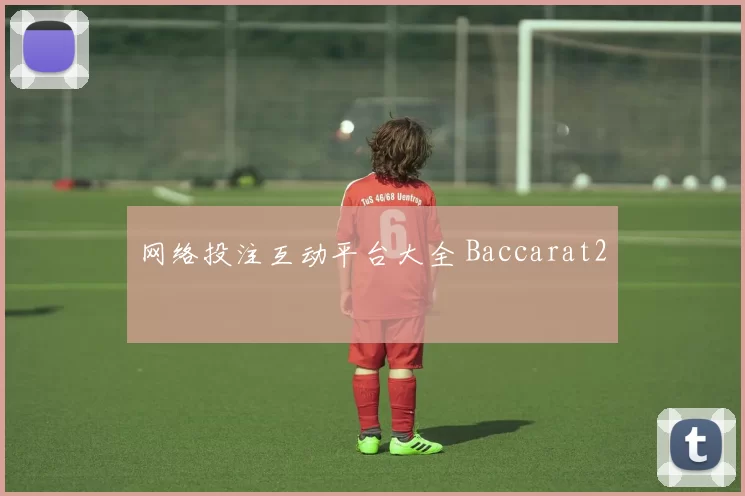 网络投注互动平台大全 Baccarat2