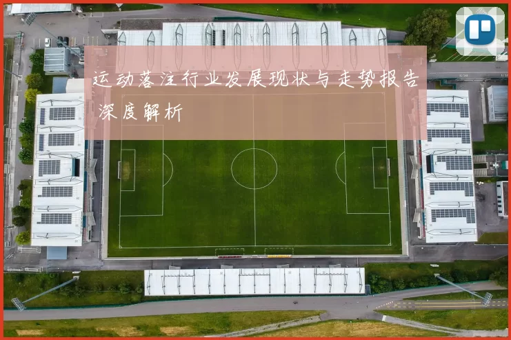 运动落注行业发展现状与走势报告 深度解析