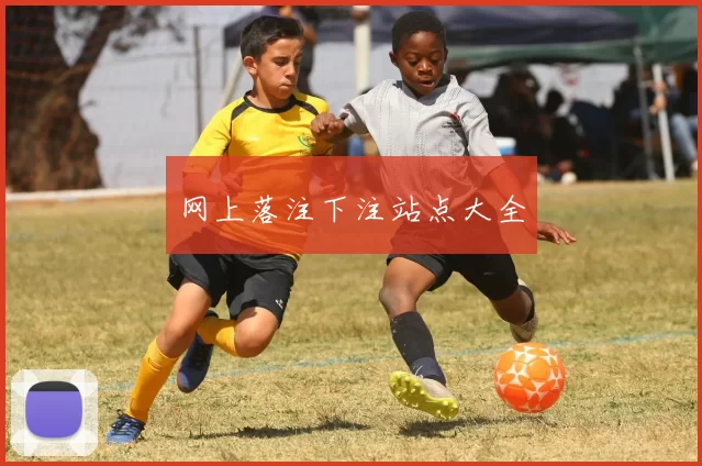 网上落注下注站点大全