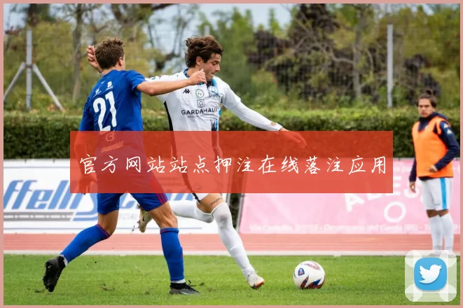 官方网站站点押注在线落注应用