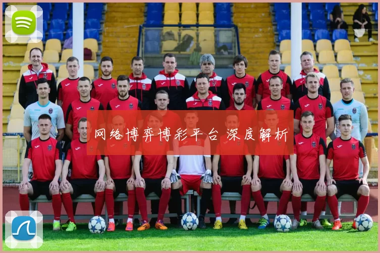 网络博弈博彩平台 深度解析