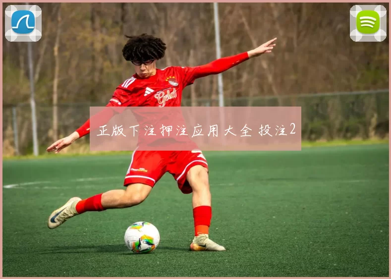 正版下注押注应用大全 投注2