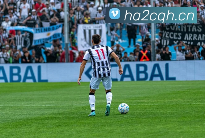 博弈通道赌场大全在线落注指引